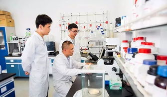 中國(guó)制造業(yè)第一縣聚力互聯(lián)網(wǎng)銷售轉(zhuǎn)型，新華日?qǐng)?bào)頭版頭條聚焦產(chǎn)業(yè)升級(jí)新篇章